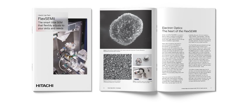 FlexSEM Article_LP_1