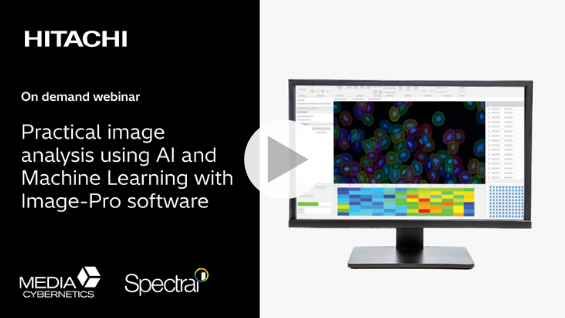 Screenshot 2026-03-19 145943