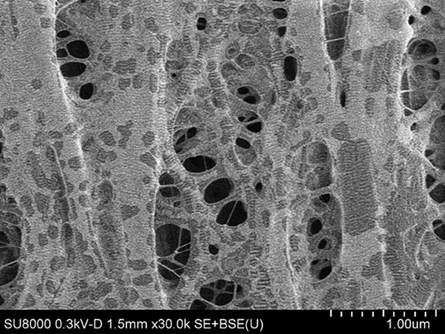 Separatorfoil6