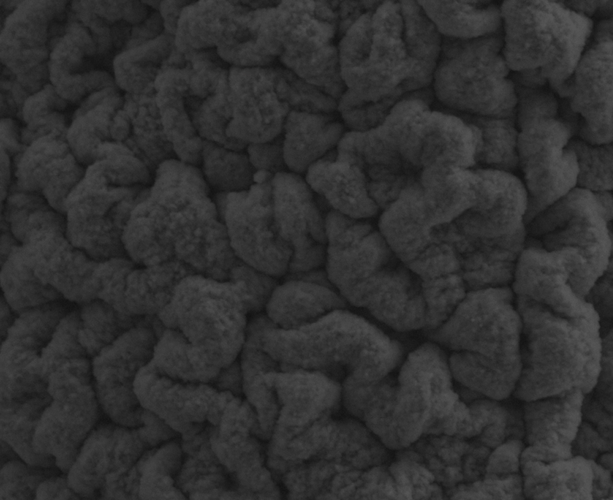 PPC images_13