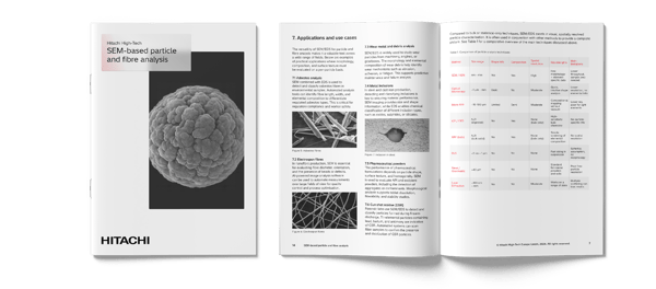 SEM_Whitepaper_images_2