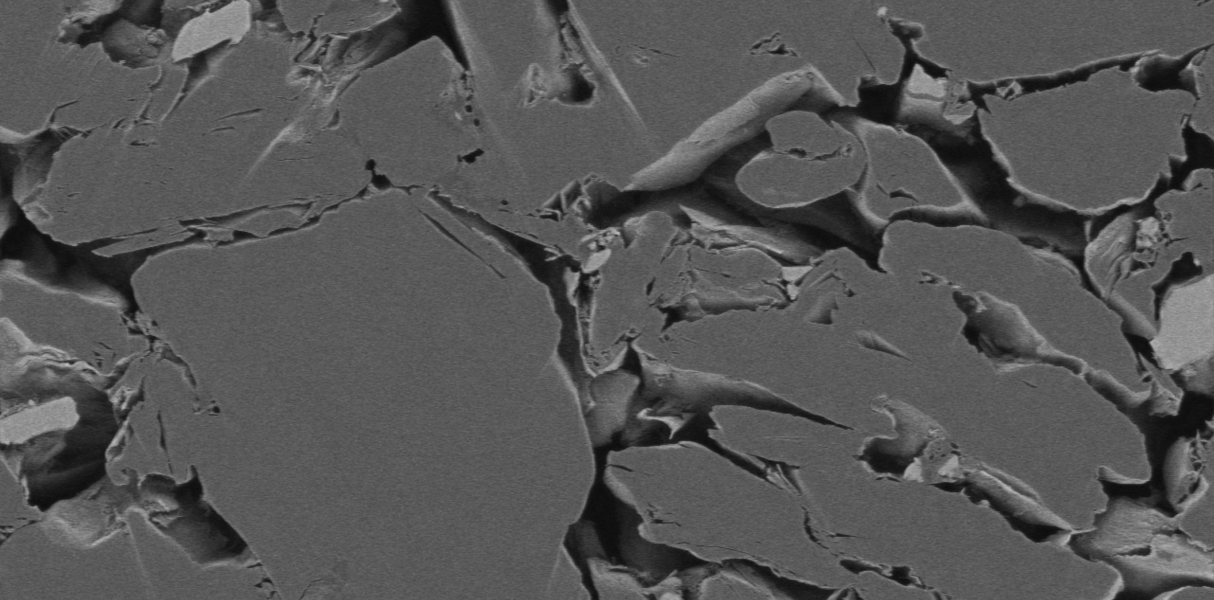 Exploring the benefits of Hitachi’s SU8600 and SU8700 Field Emission SEMs